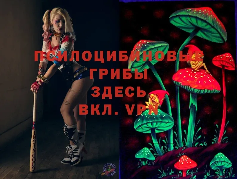 Галлюциногенные грибы Magic Shrooms Зверево