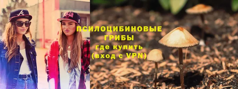 Псилоцибиновые грибы MAGIC MUSHROOMS  закладки  Зверево 